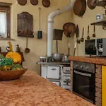 Villa Podere Il Castello *